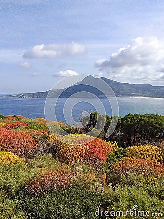 Sardinia Italy Amazing landscapes Stock Photo