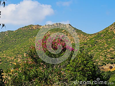 Sardinia's inland Stock Photo