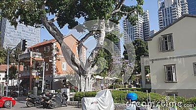 Sarona neibourhood in center urban tel-aviv israel Editorial Stock Photo