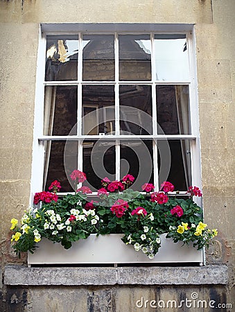 Sash Window and Flower Box Stock Photo