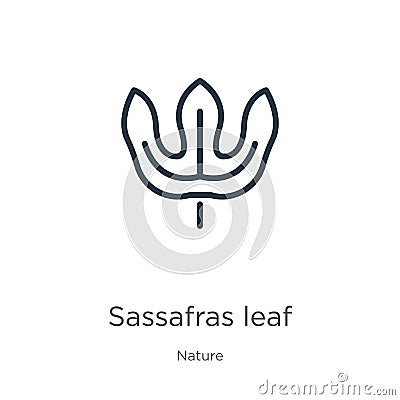 Sassafras leaf icon. Thin linear sassafras leaf outline icon isolated on white background from nature collection. Line vector sign Vector Illustration