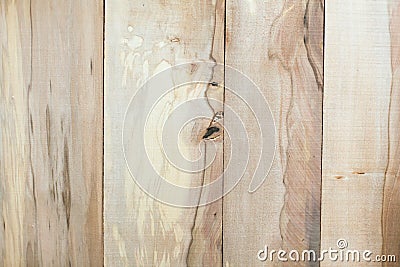 Sassafras wooden background Stock Photo