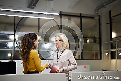 Satisfied business ladies shaking hands Stock Photo