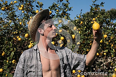 Satisfied farmer watch a lemon Stock Photo