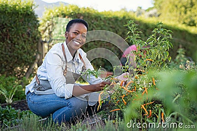 Satisfied woman working at vegetable garden Stock Photo