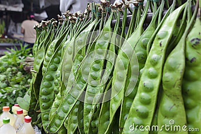 Sato. Local plants in Southern Stock Photo