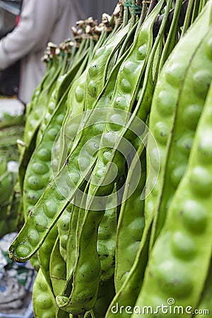 Sato. Local plants in Southern Stock Photo