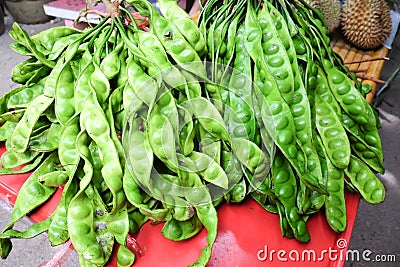 Sato local vegetables in southern Thailand. Stock Photo