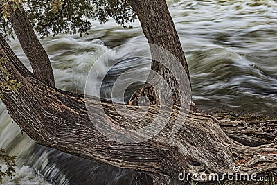 Sauble Falls Motionless and Mobile Stock Photo