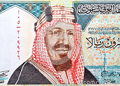 Saudi Arabia 20 riyals banknote, The Saudi riyal is the currency of Saudi Arabia, selective focus of Saudi kingdom twenty riyals Stock Photo