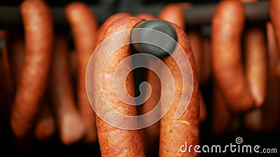 Sausage lamb red smokehouse smoked on beech wood slaughter traditional Italy household detail close-up, sausage-meat Stock Photo