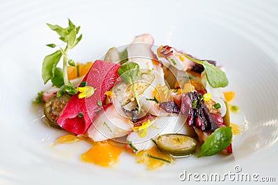 Sauteed sliced octopus, smoked sunchoke, breakfast radish and he Stock Photo