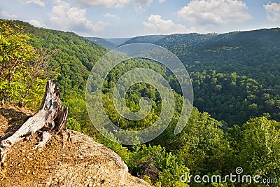 Savage Gulf Stock Photo