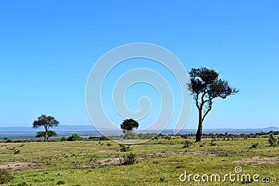 Savana landscape in Kenya Stock Photo
