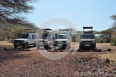 Savana landscape with safari jeeps Editorial Stock Photo