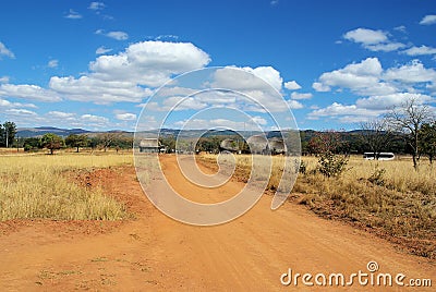 Savanna Stock Photo