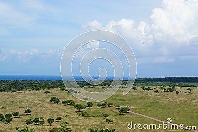 The savanna is dominated by verdant grass in the rainy season Stock Photo