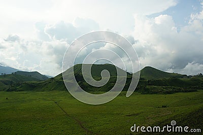 The savanna is dominated by verdant grass in the rainy season Stock Photo