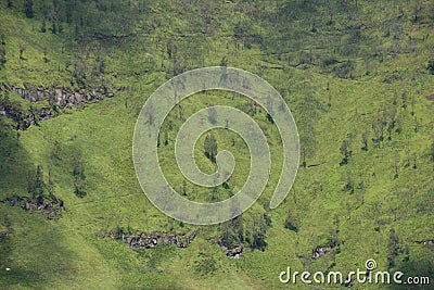 Savanna & Teletubbies Hill, Mount Bromo, Indonesia Stock Photo