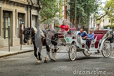 Horse carriage tour in Savannah Editorial Stock Photo