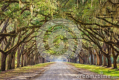 Savannah, Georgia, USA Historic Road Stock Photo