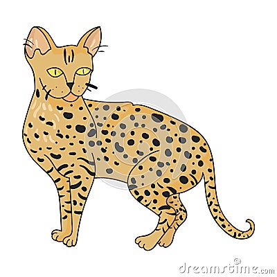 Savannah icon in cartoon style on white background. Cat breeds symbol stock vector illustration. Vector Illustration