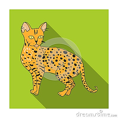 Savannah icon in flat style isolated on white background. Cat breeds symbol stock vector illustration. Vector Illustration