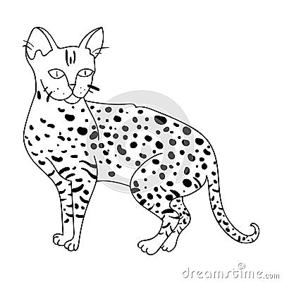 Savannah icon in outline style isolated on white background. Cat breeds symbol stock vector illustration. Vector Illustration