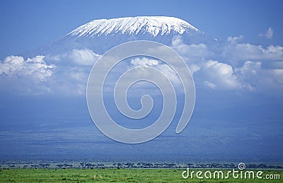 Savannah near Kilimandjaro Mountain, Tanzania Stock Photo