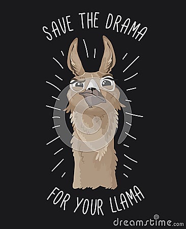 Save the drama for your llama print with funny alpaca head on dark backround. Llama motivational print. Vector alpaca meme Vector Illustration