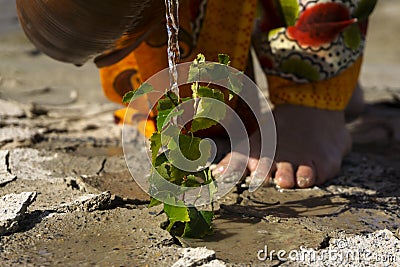 Save life on earth Stock Photo