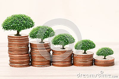 Save money tree growing on stack coins Stock Photo