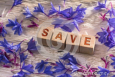 Save on the wooden cubes Stock Photo