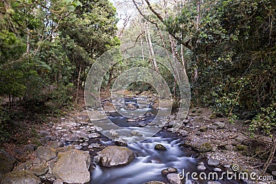 Savegre River, San Gerardo de Dota. Quetzales National Park, Costa Rica. Stock Photo