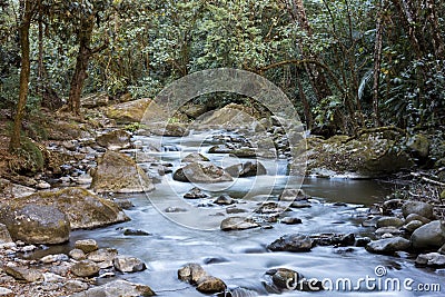 Savegre River, San Gerardo de Dota. Quetzales National Park, Costa Rica. Stock Photo