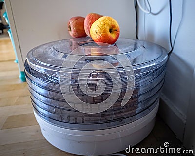 Saving apples in a food saver to make dried fruit Stock Photo