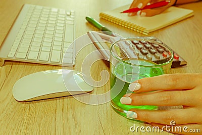 Savings, finances, economy, Business and home concept - Female with calculator and making notes at home Stock Photo