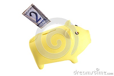 Savings - 2 reais Stock Photo