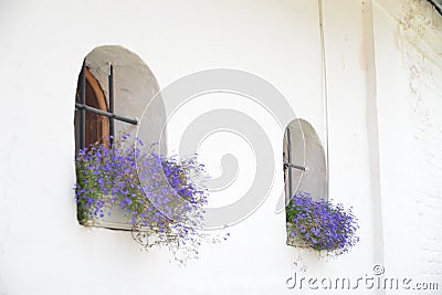 Savior Monastery of St. Euthymius in Russia Stock Photo