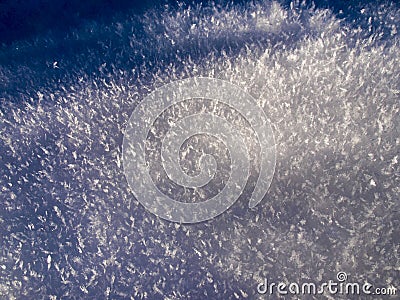 Savognin, Snow and frost with needles due to intense cold Stock Photo