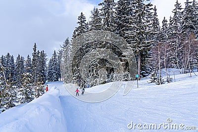 Savoie, France - 15.02.2022: Panorama of ski fields with skiers in Les Arcs, snow fir trees background, Europe Stock Photo