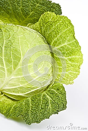 Savory Cabbage Stock Photo