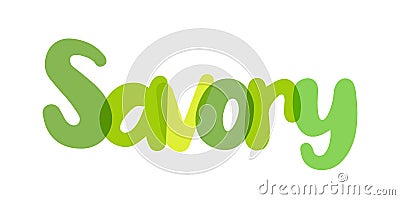 Savory, Satureja hortensis L, mint family, herb, Natural - green tones typography background Vector Illustration