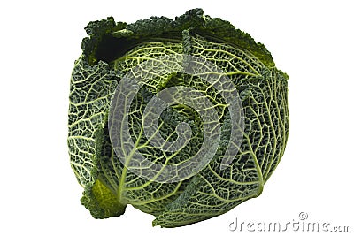 Organic Savoy Cabbage Isolated Stock Photo