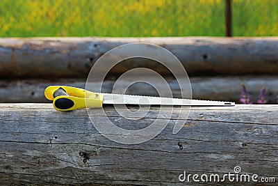 Saw. Instruments and tools. Construction and Repair. Mend and repair. Building and construction. Building implements. Tool. Wooden Stock Photo