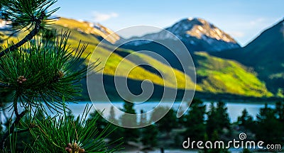 Sawatch mountain scene pine needles twin lake heaven Stock Photo