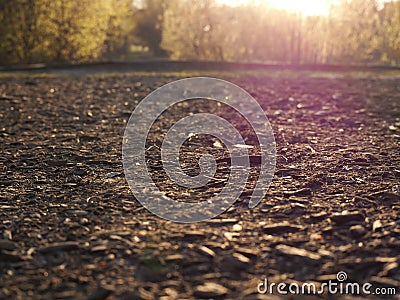Sawdust and dirt in the sun Stock Photo