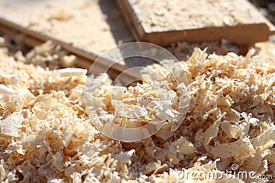 Sawdust and light wood shavings close-up the carpentry workshop after sawn timber processing Stock Photo