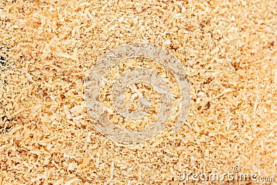 Sawdust texture from wood work copy space Stock Photo