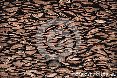 Sawed logs Stock Photo